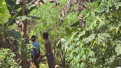 Amateur Teen Studio: Buď rychlá, aby nás nikdo chytil (v zákulisí)