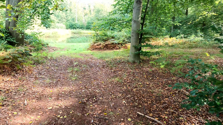 Bouncy Tits Action: Zvedněte ti košili, chci ztloukat tvoje prsa