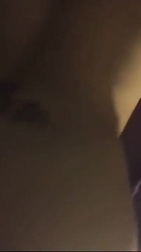 Skinny White Dreadhead MILF Lotuss Queeen Takes BBC Backshots - Old Video 2018