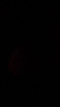 모험 6