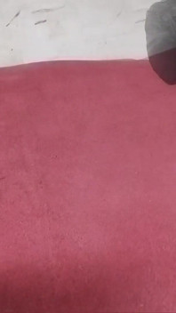 Sexe gay avec vidéo maison