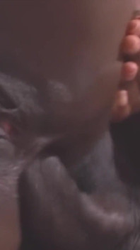 A Nice Black Ass