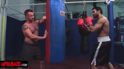 AlphaMales: Alphamales - Sklání a lízání mrdky