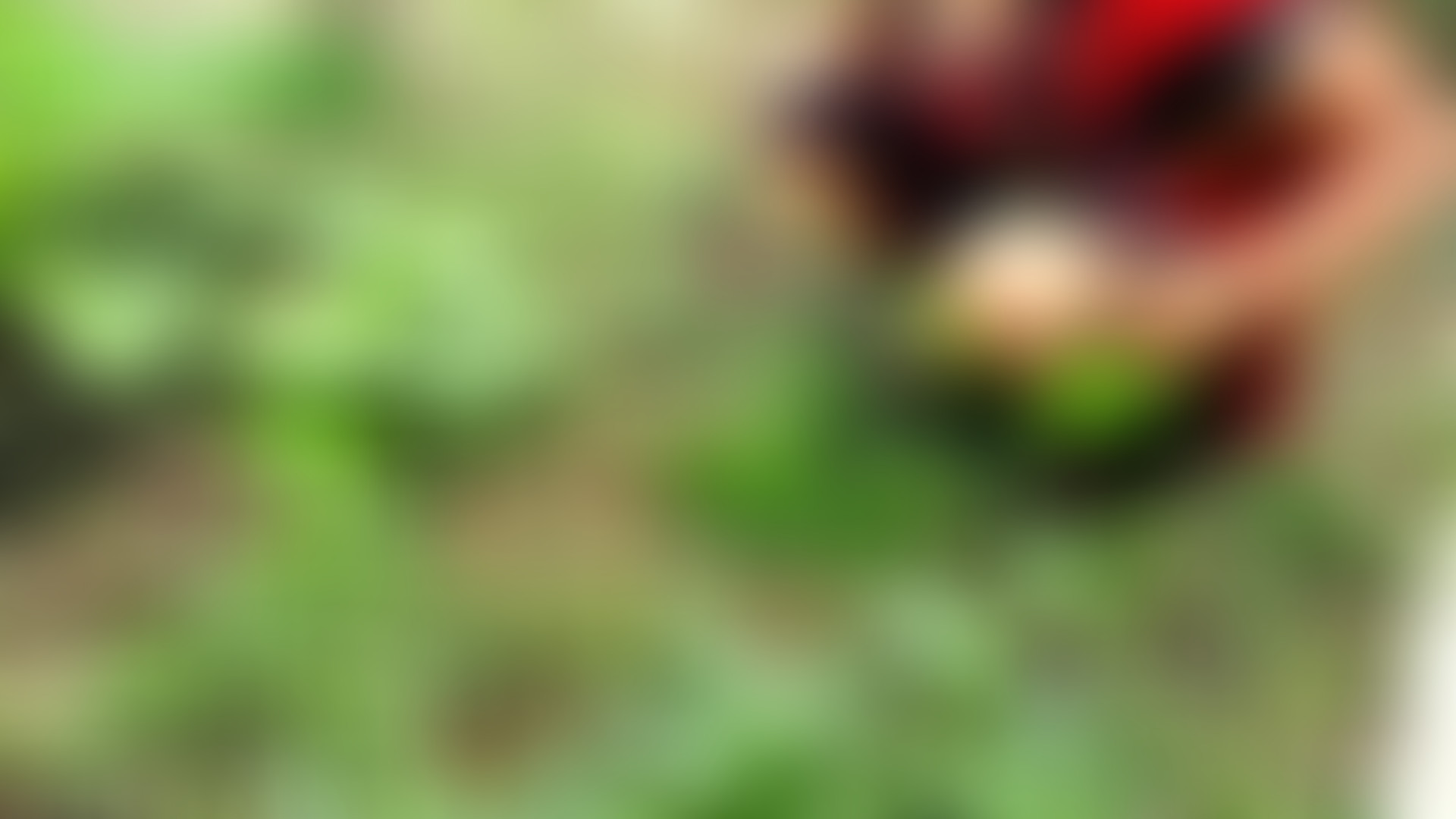 Locked due to age restriction