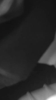 Uncensored Adultery Mature Couple Movie Theater Infrared Camera Handjob Blowjob