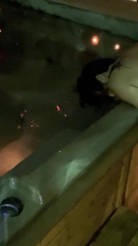 Parní sex ve vířivce s Abi James