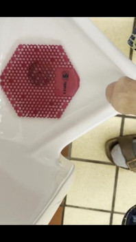 Piss in Urinal