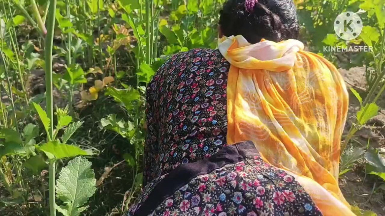 Savita5343: Village Desi Bhabhi fodida em campo de mostarda em estilo...