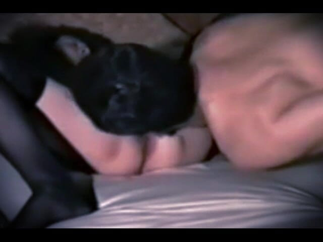 yellowsubmarine: Mesyuarat Rahsia dengan Setiausaha Matang 4