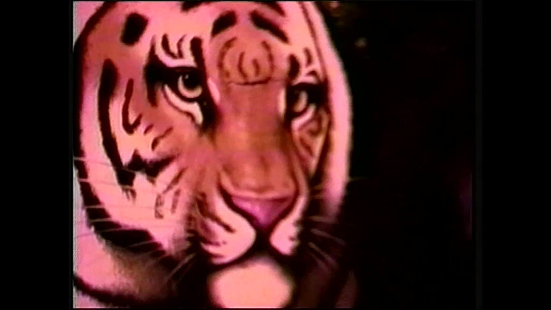 Shemale World: Uma aventura de sexo transgênero vintage