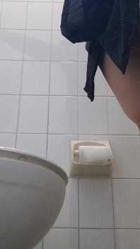 The Blasphemous Public Toilet