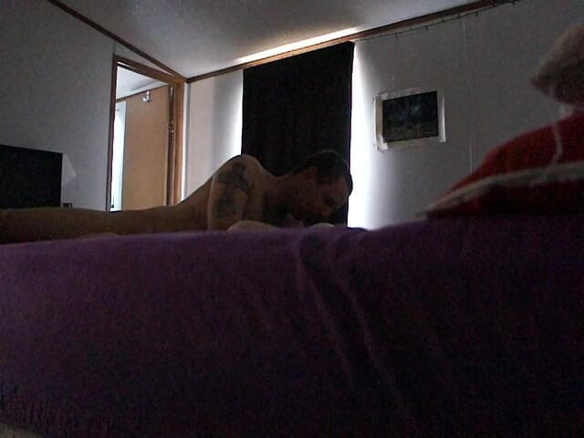 KittieNoOne: Op zijn hondjes op het bed