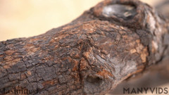 JasmineJ9966: Tvar J - plná ver