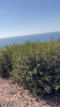 Artemisia Love Sexy Hiking by the Ocean Big Boobs Close up