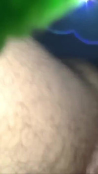 3069646