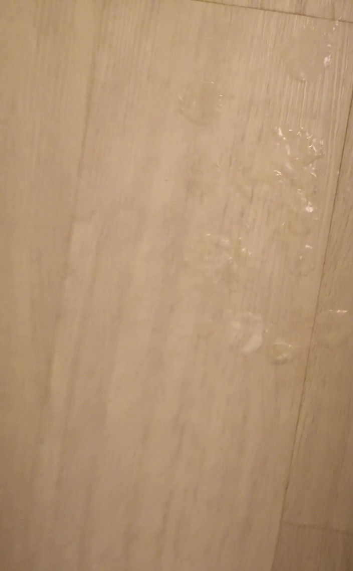 Amadeus: Nu-l pot ține înăuntru