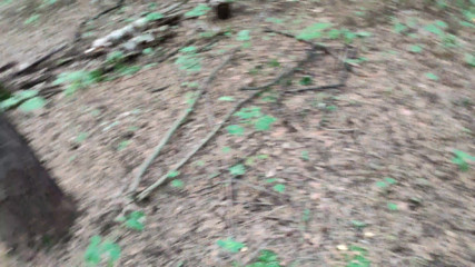 Super Jopka: Beautiful chick caught in the woods