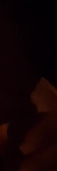 自分の感情をしゃぶるのが大好きだ