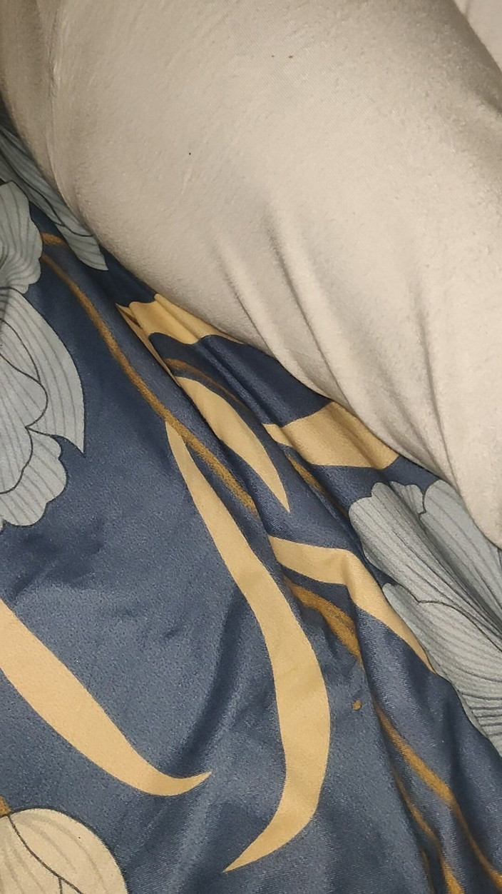 Desi_sexy_boy: パンジャブピロートーク