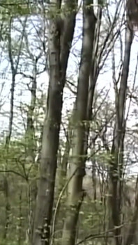 Klystýr perverzní šukání a velký klystýr