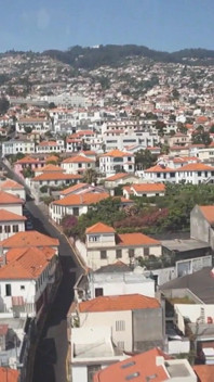 Sunny Madeira with Sapphira