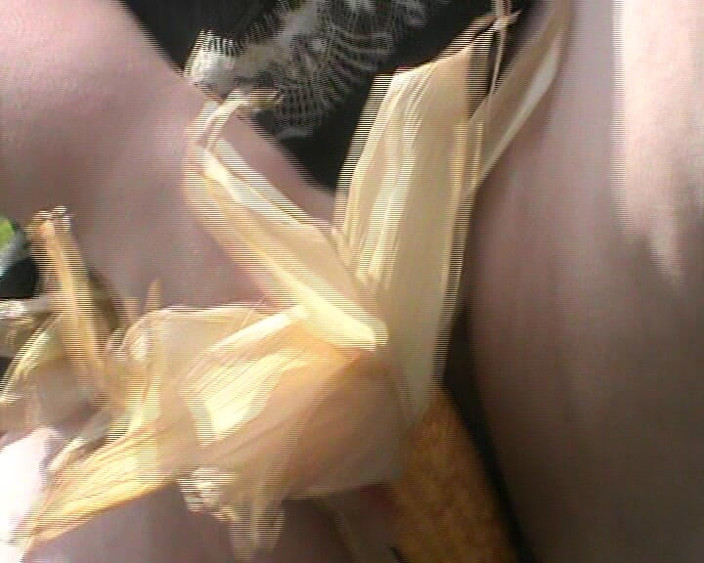 tammara big: Corncub на машині дрочить
