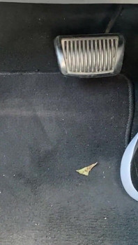 Ivys'in Ayaklarıyla Tenis Ayakkabısı Içinde Pedal Pompalıyor