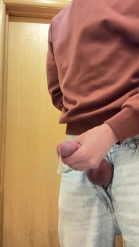 Jerking off in the Toilet