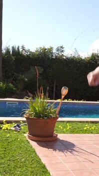 Allenamento nudo con 4 ragazze calde