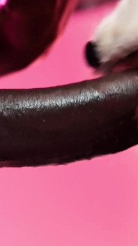 100% Anal and Creampie Anal