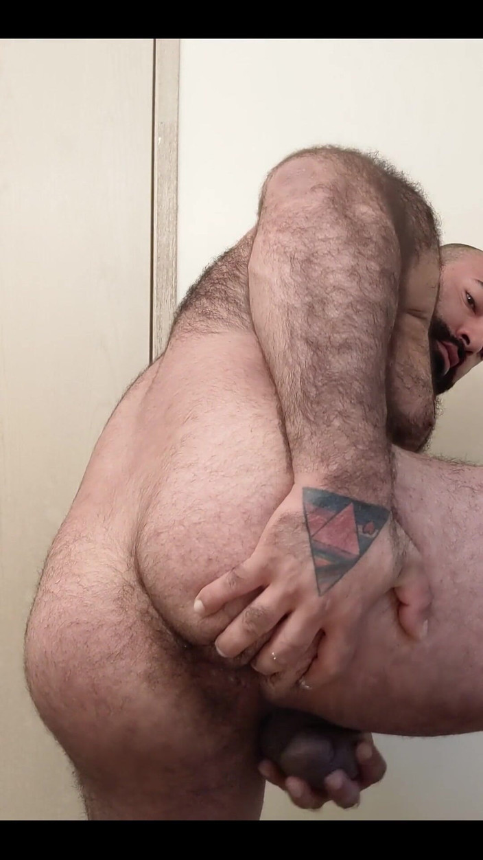 Lobo: 혹 데이 플레이!