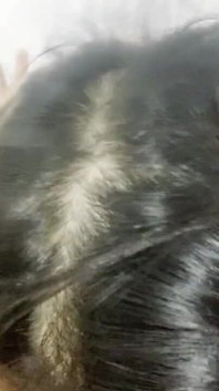 Štíhlá asijská dívka ošukaná do análu, ošukaná kozama a drsná pusa ošukaná a ona pije moje sperma.