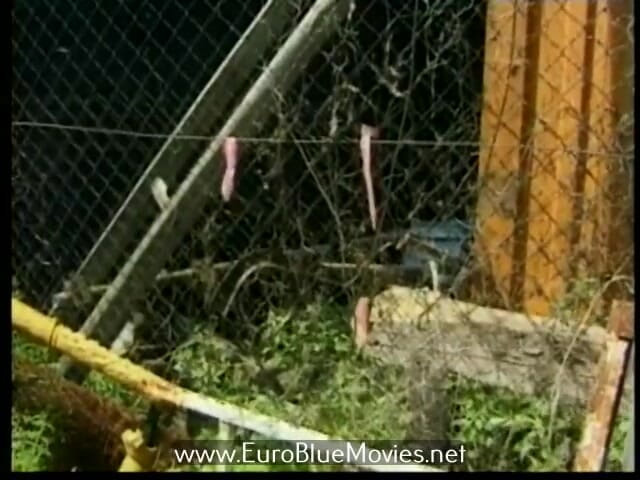 Euro Blue Movies: Teenies Baby Huren, Girls on Sale