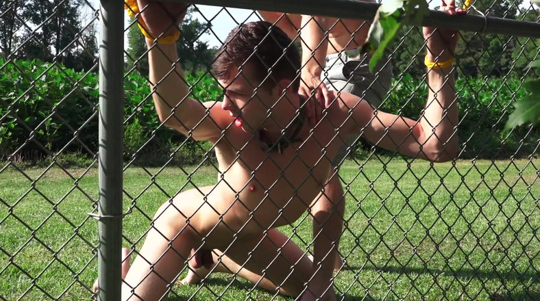 Colby Knox: Hřebec a jeho štěně