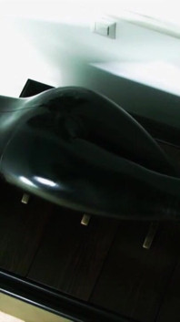 Latex Domina