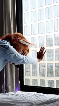 Bez siodełka Femboy Furry Fursuit jebanie przed oknem