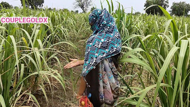 Sexy Komal: Komal Futai de Malik în timp ce lucrează în câmp