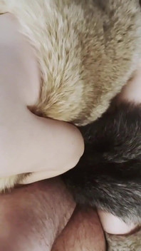 The Biggest Fur Journey Compilation! Fur Coat Sex, Fur Suit, Fur Fetish