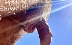 Placer_macho: Controleren of Alles in Orde Is in Het Werk.