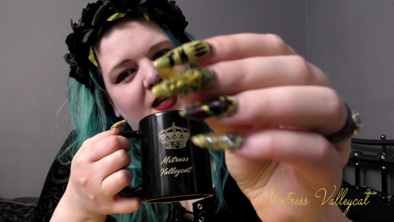 Mxtress Valleycat: Claw worship