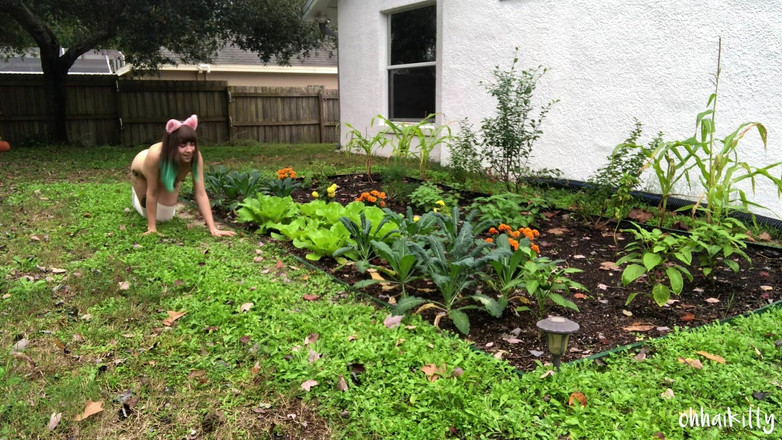 kactus kutie: 케일의 키티 금스