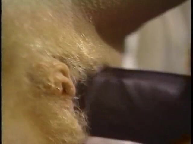 Vintage Usa: Huge boobs blonde vintage threesome fucking big cock sucking dildo...