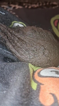 Aus nächster nähe, persönliche riesige eier, massiver schwarzer unbeschnittener schwanz