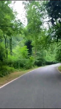 Indische freundin im auto ficken! Heiße desi-dating