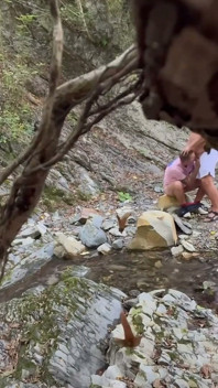 Fucked in the Woods
