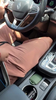 Meine Freundin lutscht meinen ganzen Schwanz während der Fahrt