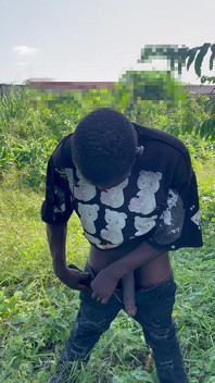 Afrikanischer 12 Zoll Langer BBC-schwanz