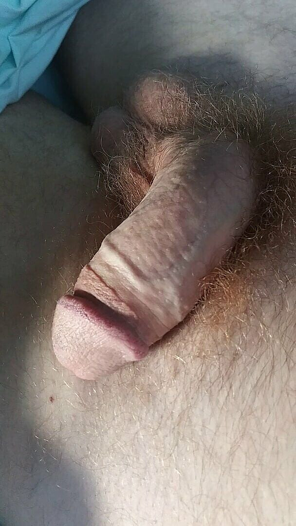 Hairyartist: Hairyartist in Stepdads Cock Grows Huge for You