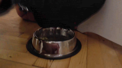 Femdom Austria: 奴隷は食べる前に彼女の足を舐めます