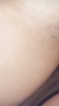 Amatör desi knull